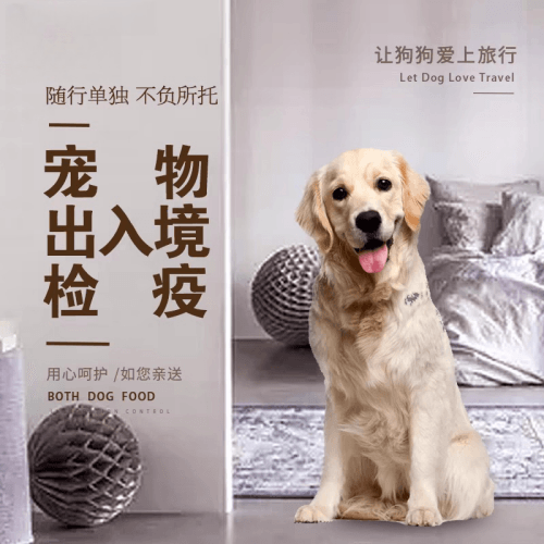 南通宠物托运到哥伦比亚猫狗宠物入境规定和