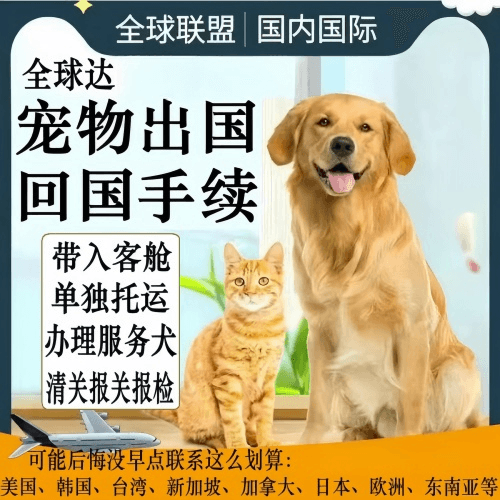 南通宠物托运到柬埔寨宠物入境规定和要求