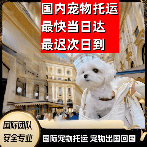 南通到澳大利亚（澳洲）宠物入境规定和要求