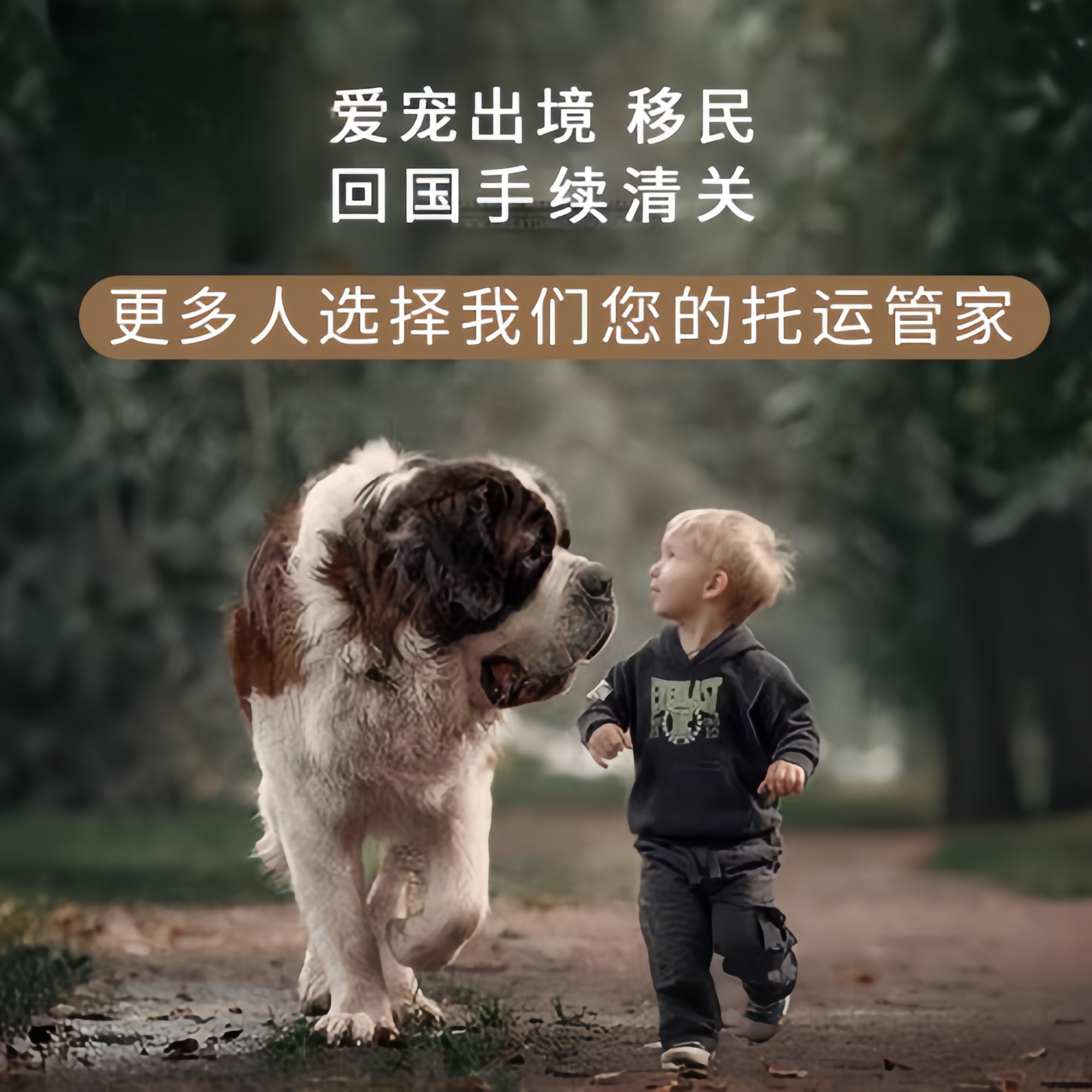 满财南通宠物全球达宠物托运在遵守入境目的地政策的条件