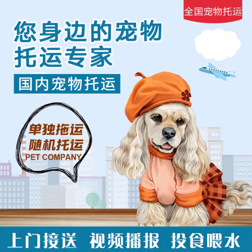 满财南通宠物全球达宠物托运作为专业的宠物运输代理机构